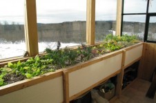 mariaraicca2-12-10-005