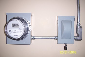 les-amis-de-lenvironnementecole-lenvolee